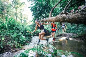 BIB: 
                            <button type="button" onclick="openModal(25438350)" class="btn btn-primary btn-sm float-right btn-popup" data-toggle="modal" data-target=".modal-high-quality">
                        <i class="fas fa-shopping-cart"></i> Add to Cart
                    </button>
                                            <button type="button" onclick="isThisMe(25438350, true)" class="btn btn-success btn-sm float-right btn-popup btn-isme hidden" data-toggle="tooltip" data-placement="bottom" title="นี่คือรูปของคุณใช่ไหม คลิกที่นี่เพื่อเอาเข้าอัลบั้ม">
                        <i class="fas fa-plus"></i> Add to album
                    </button>
                    <button type="button" onclick="isThisMe(25438350, false)" class="btn btn-warning btn-sm float-right btn-popup btn-isnotme hidden">
                        <i class="fas fa-ban"></i> Remove from album
                    </button>